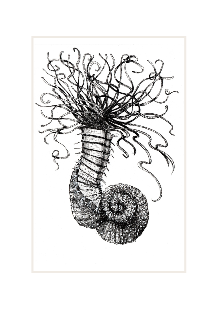 Marine Worm: 'Bobble'. Prices from: