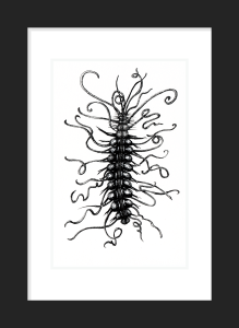 Marine Worm: 'Tentacles'. Prices From