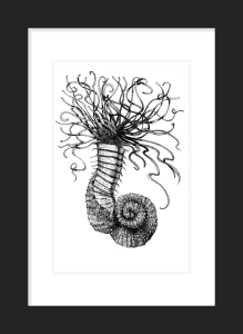 Marine Worm: 'Bobble'. Prices from: